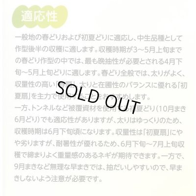 画像5: 送料無料　[ねぎ]　初夏扇2号　ペレット種子　6000粒　(株)サカタのタネ