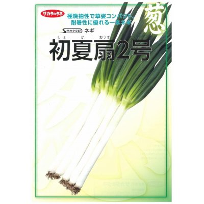 画像2: [ねぎ]　初夏扇２号　ペレット種子　6000粒　（株）サカタのタネ