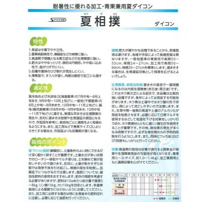 画像3: 送料無料[大根]　夏相撲　ペレット種子5000粒　(株)サカタのタネ