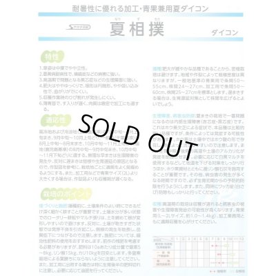 画像3: 送料無料　[大根]　夏相撲　800粒　(株)サカタのタネ