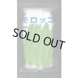 [いんげん]　モロッコ　1L　タキイ種苗(株)