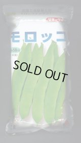 [いんげん]　モロッコ　1L　タキイ種苗(株)