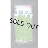 [いんげん]　モロッコ　1L　タキイ種苗(株)