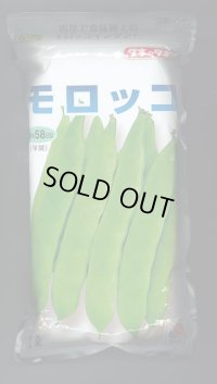 [いんげん]　モロッコ　1L　タキイ種苗(株)