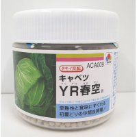 [キャベツ]　送料無料！　YR春空　5000粒　 ペレット種子　タキイ種苗（株）