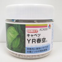 [キャベツ]　送料無料！　YR春空　5000粒　 ペレット種子　タキイ種苗（株）