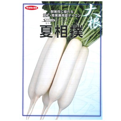 画像2: 送料無料　[大根]　夏相撲　800粒　(株)サカタのタネ