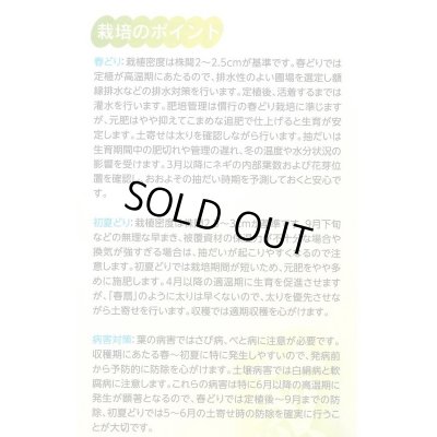 画像4: 送料無料　[ねぎ]　初夏扇2号　ペレット種子　6000粒　(株)サカタのタネ