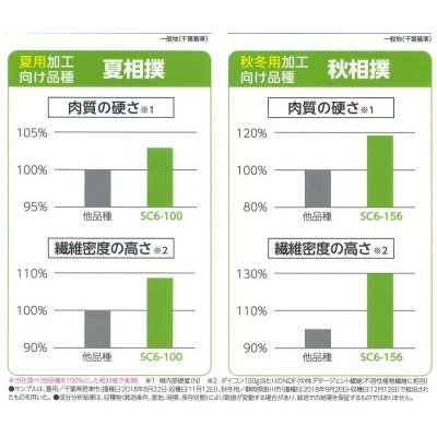 画像6: 送料無料[大根]　夏相撲　ペレット種子5000粒　(株)サカタのタネ