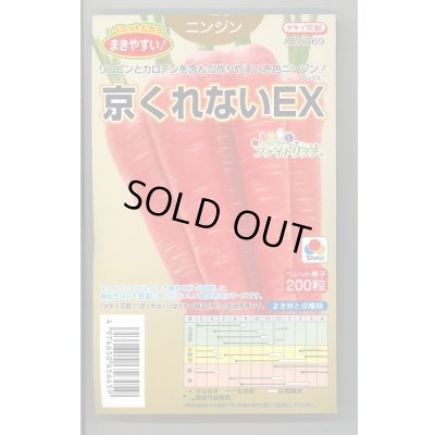 画像1: 送料無料　[人参]　京くれないEX　ペレット種子200粒　タキイ種苗(株)