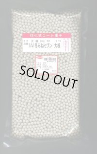 大根　冬みねセブン　ペレット5000粒　サカタのタネ（株）