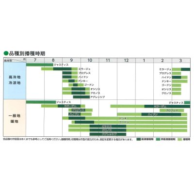 画像8: [ほうれんそう] オシリス 種子サイズ：M 3万粒 （株）サカタのタネ