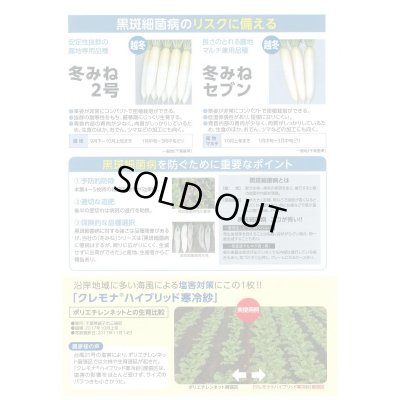 画像4: 送料無料 大根 冬みね2号 8000粒 (株)サカタのタネ