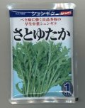 送料無料　[春菊]　中葉春菊　さとゆたか　1dl