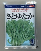 送料無料　[春菊]　中葉春菊　さとゆたか　1dl