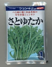 送料無料　[春菊]　中葉春菊　さとゆたか　1dl