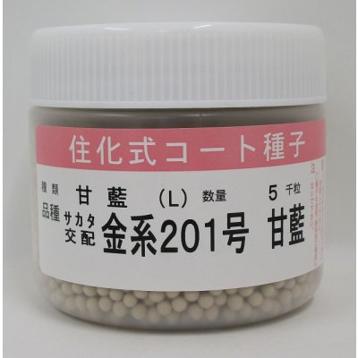 画像1: [キャベツ]　金系201号　コート5000粒　サカタ交配　