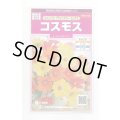 送料無料　花の種　コスモス　キャンパス　ブライトカラーミックス　約100粒　(株)サカタのタネ　実咲350（026104）