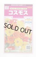 送料無料　花の種　コスモス　キャンパス　ブライトカラーミックス　約100粒　(株)サカタのタネ　実咲350（026104）
