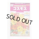 送料無料　花の種　コスモス　キャンパス　ブライトカラーミックス　約100粒　(株)サカタのタネ　実咲350（026104）