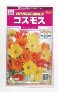 花の種　コスモス　キャンパス　ブライトカラーミックス　約100粒　サカタのタネ（株）　実咲350