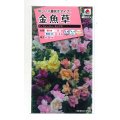 送料無料　花の種　金魚草　ツイーニーミックス　タキイ種苗(株)NL300