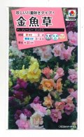 送料無料　花の種　金魚草　ツイーニーミックス　タキイ種苗(株)NL300