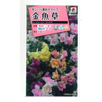 画像1: 送料無料　花の種　金魚草　ツイーニーミックス　タキイ種苗(株)NL300