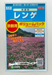 送料無料　花の種　レンゲ　紫雲英　約3平米用　(株)サカタのタネ　実咲350（026181）
