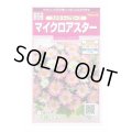 送料無料　花の種　マイクロアスター　ステラトップローズ　小袋　(株)サカタのタネ　実咲350（026091）