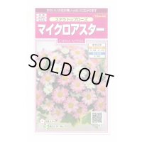 送料無料　花の種　マイクロアスター　ステラトップローズ　小袋　(株)サカタのタネ　実咲350（026091）