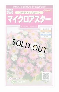 花の種　マイクロアスター　ステラトップローズ　小袋　　サカタのタネ（株）