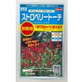 送料無料　花の種　クリムゾンクローバー　ストロベリートーチ　約6平米用　(株)サカタのタネ　実咲350（027360）