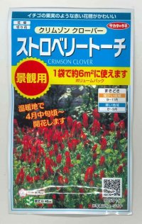 送料無料　花の種　クリムゾンクローバー　ストロベリートーチ　約6平米用　(株)サカタのタネ　実咲350（027360）