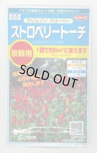 花の種 　クリムゾンクローバー　ストロベリートーチ　約６平米用　サカタのタネ（株）実咲350