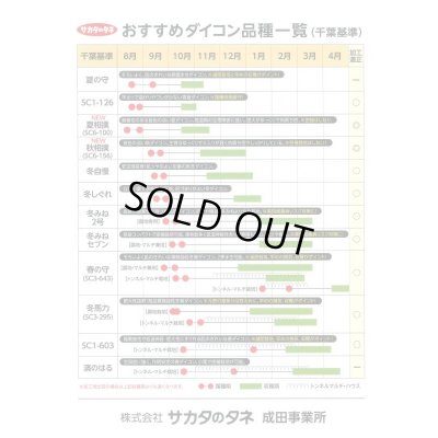 画像3: [大根]　夏の守　ペレット5000粒　サカタ交配