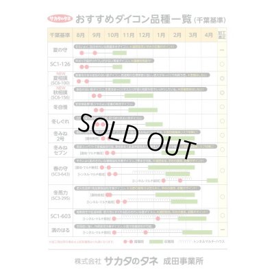 画像3: [大根]　濱のはる　ペレット5000粒　サカタ交配　