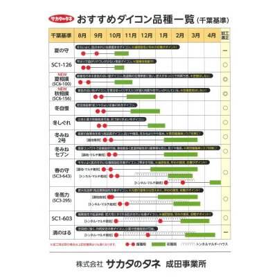 画像6: 送料無料　大根　冬みね2号　8000粒　(株)サカタのタネ