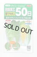 送料無料　[白菜]　タイニーシュシュ　約300粒　(株)サカタのタネ　実咲450（003430）
