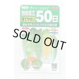 送料無料　[白菜]　タイニーシュシュ　約300粒　(株)サカタのタネ　実咲450（003430）