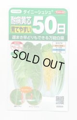 送料無料　[白菜]　タイニーシュシュ　約300粒　(株)サカタのタネ　実咲450（003430）