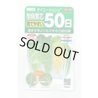 送料無料　[白菜]　タイニーシュシュ　約300粒　(株)サカタのタネ　実咲450（003430）
