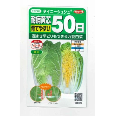 画像1: [白菜]　タイニーシュシュ　約300粒　サカタのタネ（株）　実咲400