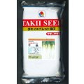 [大根]　千都　ペレット5千粒　タキイ種苗(株)