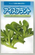 送料無料　[葉物]　アイスプラント　50粒　（株）武蔵野種苗園