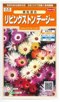 花の種　リビングストンデージー　美色混合　約286粒　サカタのタネ（株）実咲200