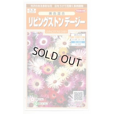 画像1: 花の種 リビングストンデージー 美色混合 約286粒 （株）サカタのタネ 実咲200（026369）
