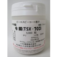 送料無料　ブロッコリー　令麟　コート5000粒　トキタ種苗(株)