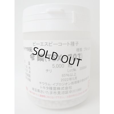 画像1: 送料無料　ブロッコリー　令麟　コート5000粒　トキタ種苗(株)