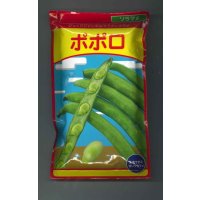 送料無料　[そら豆]　ポポロ　1dL(およそ40粒)　（株）武蔵野種苗園